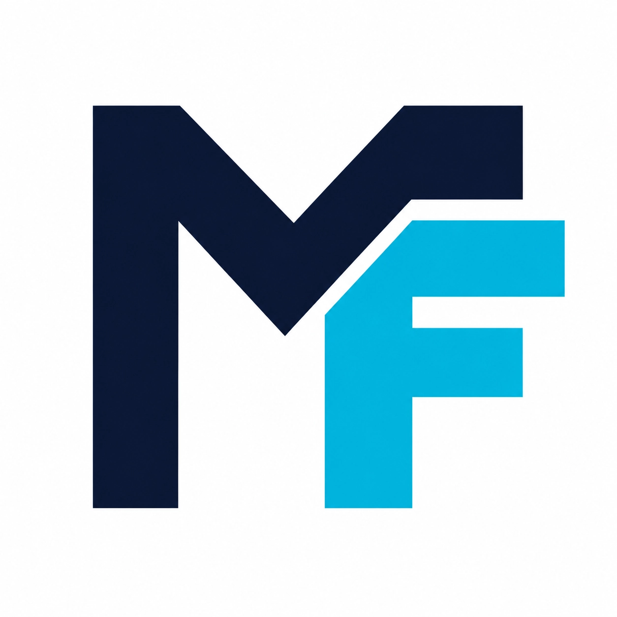 Media Fusion project preview